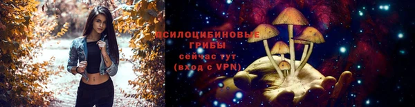 марки lsd Алексеевка