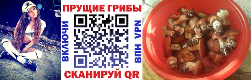 Галлюциногенные грибы GOLDEN TEACHER Сургут